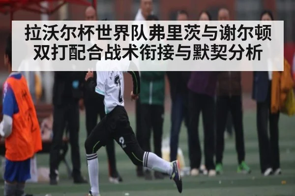拉沃尔杯世界队弗里茨与谢尔顿双打配合战术衔接与默契分析